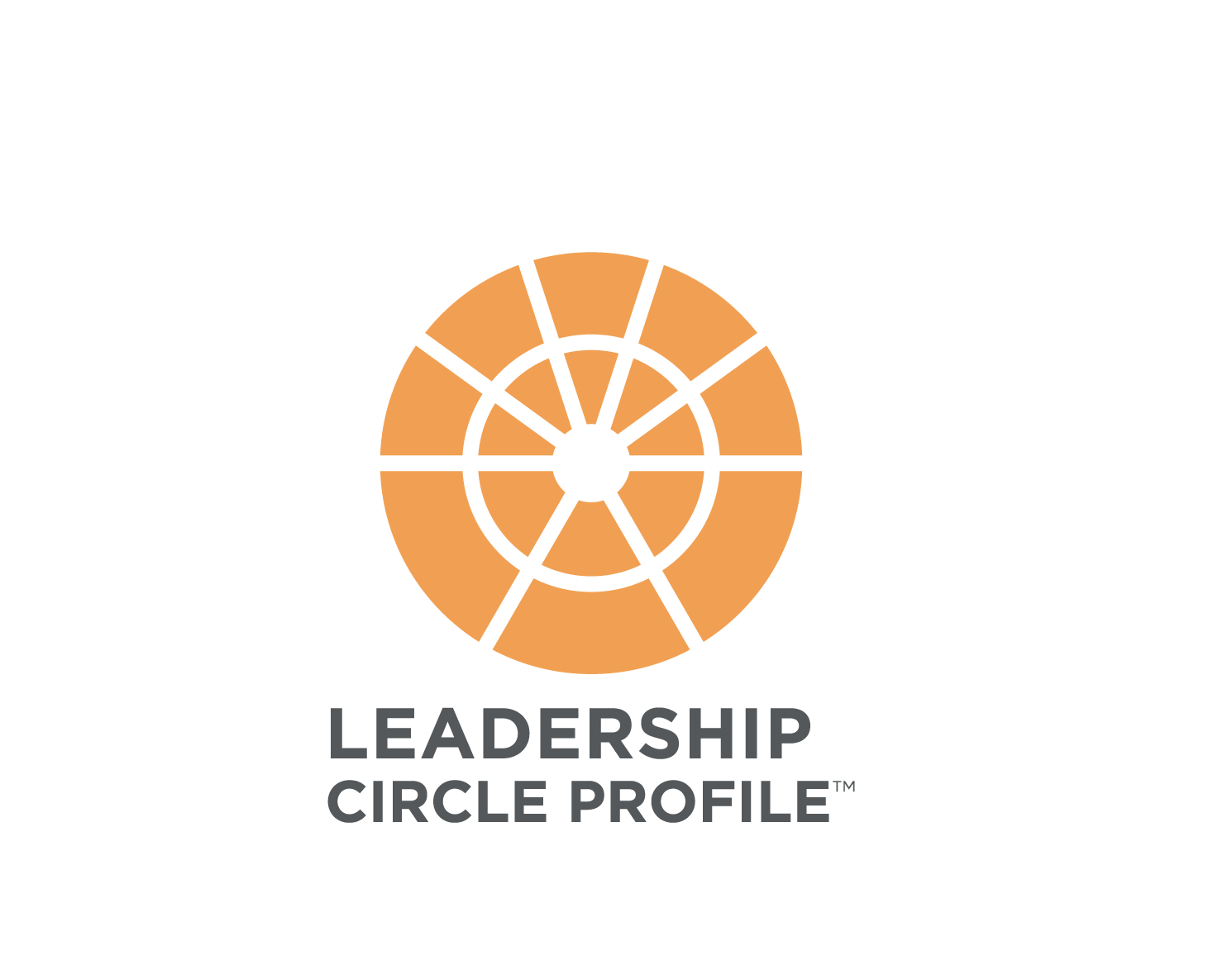 Leadership-Circle-Profile-1-e1624606057658